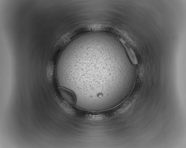 X0000116570645200912171504