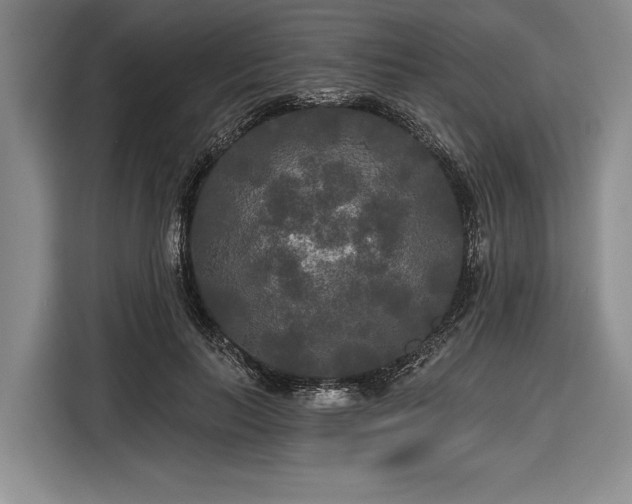 X0000116570647200912171504