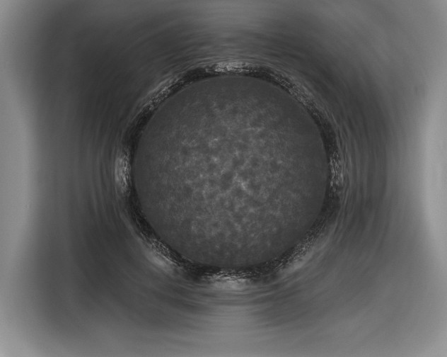 X0000116570648200912171505