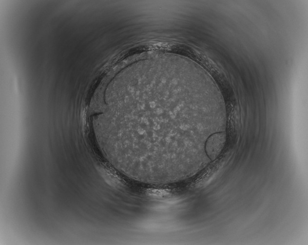 X0000116570649200912171505