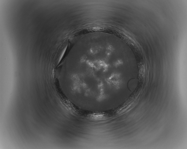 X0000116570651200912171505