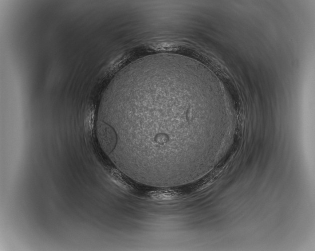 X0000116570652200912171505