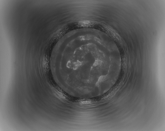 X0000116570653200912171505