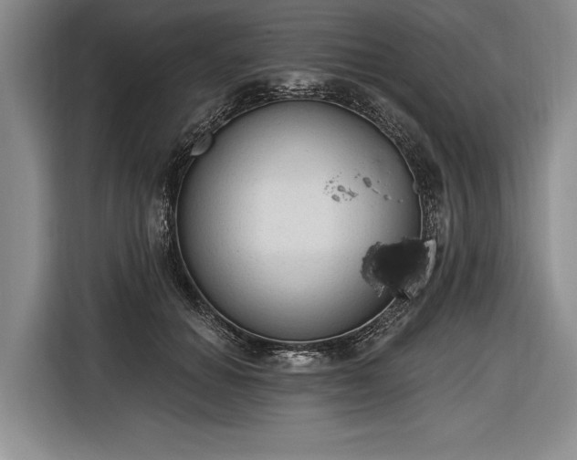 X0000116570654200912171505