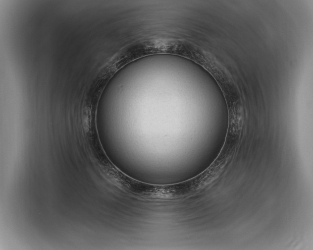 X0000116570656200912171505