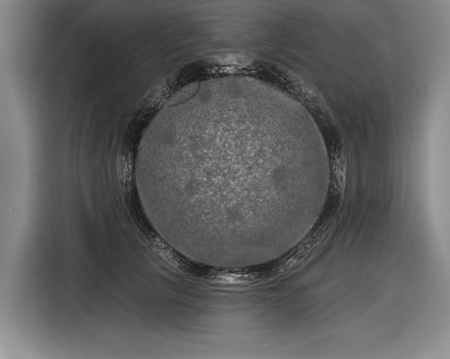 X0000116570657200912171505