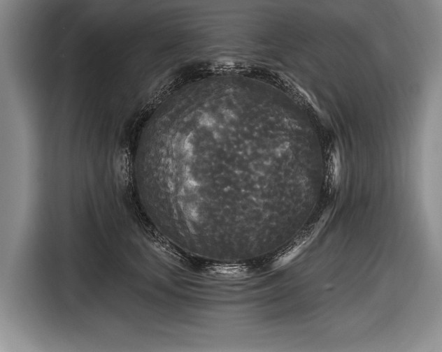 X0000116570659200912171505