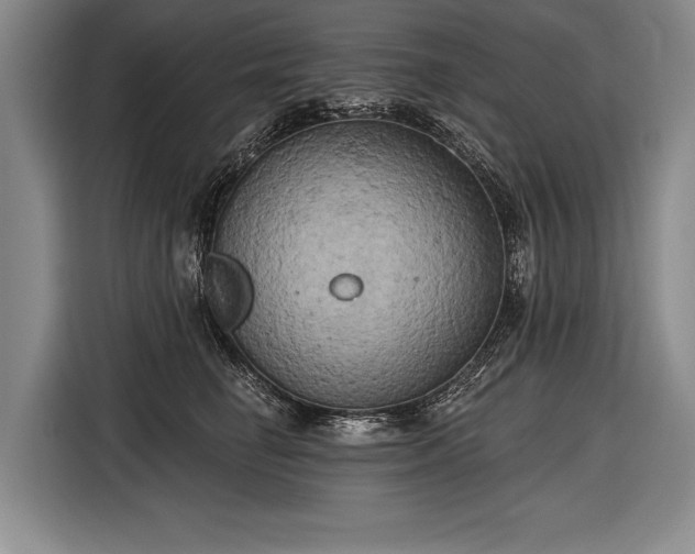 X0000116570662200912171505