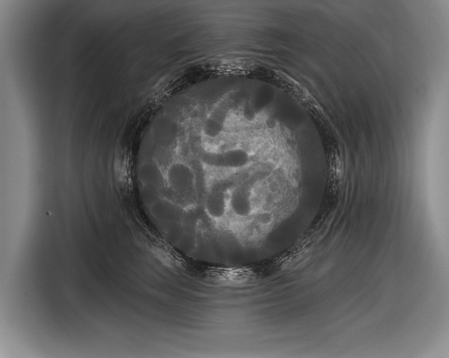 X0000116570663200912171505