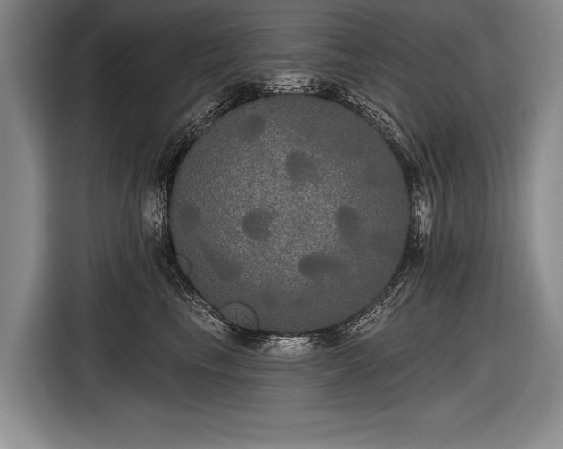 X0000116570665200912171505