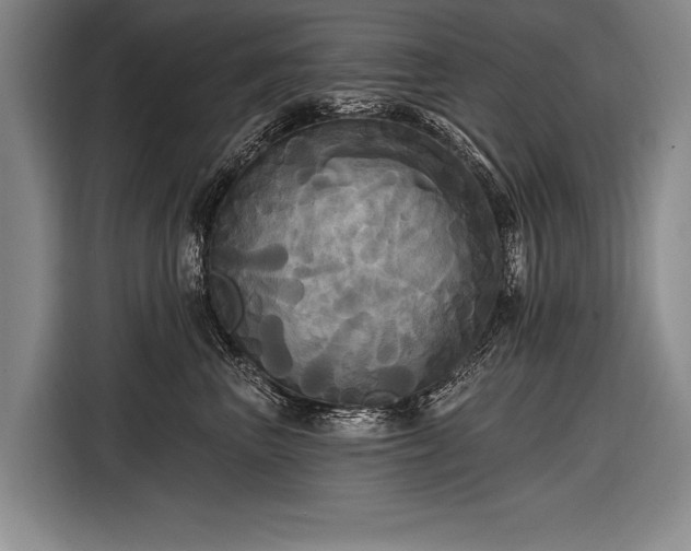 X0000116570667200912171505