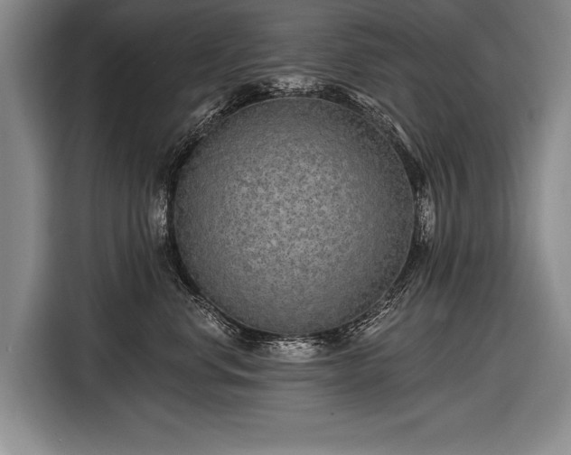 X0000116570668200912171505