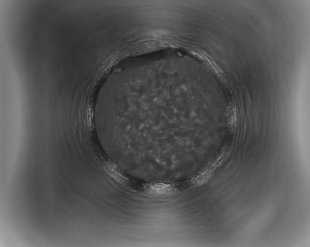 X0000116570669200912171505