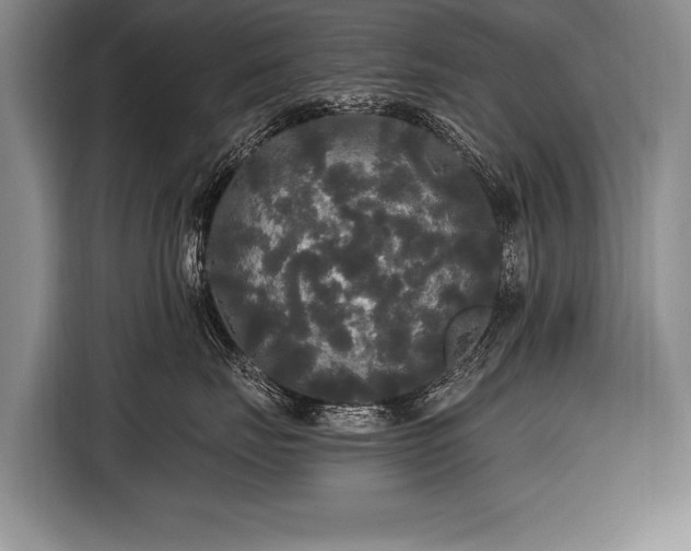 X0000116570671200912171505