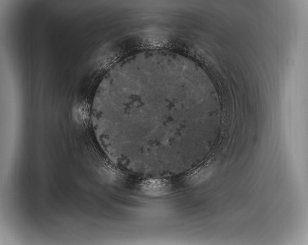 X0000116570672200912171505