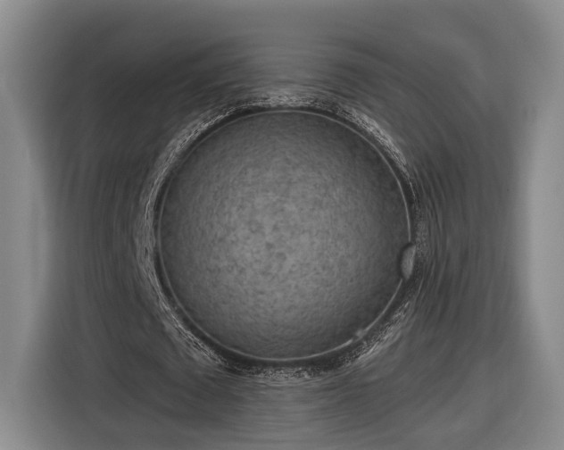 X0000116570673200912171504