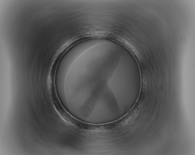 X0000116570674200912171504