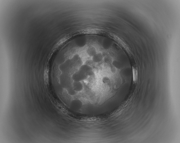 X0000116570675200912171504