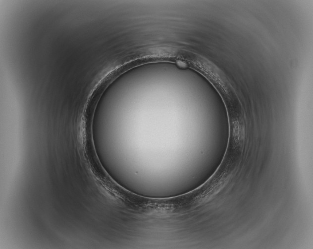 X0000116570676200912171504