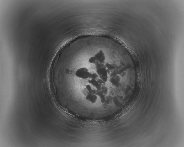 X0000116570679200912171504