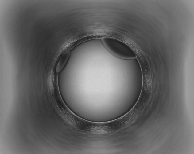 X0000116570680200912171504