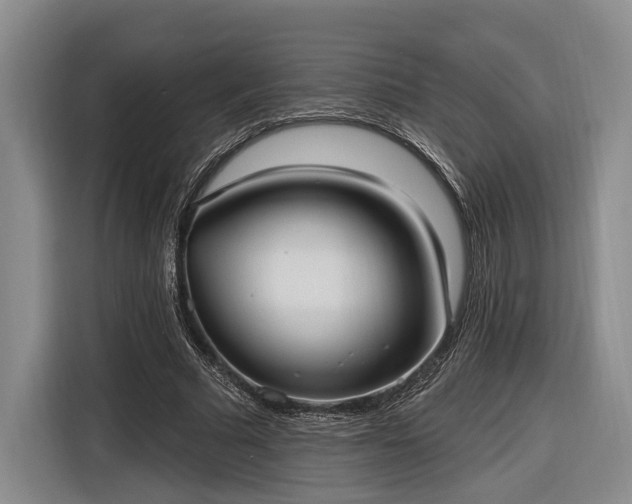 X0000116570681200912171504