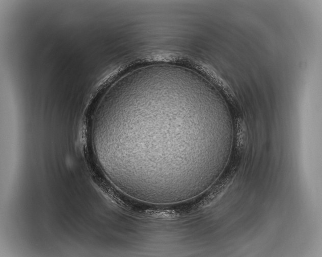 X0000116570683200912171504