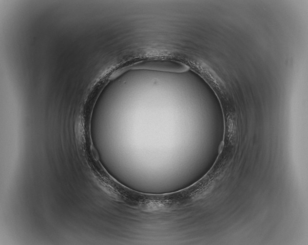 X0000116570684200912171504