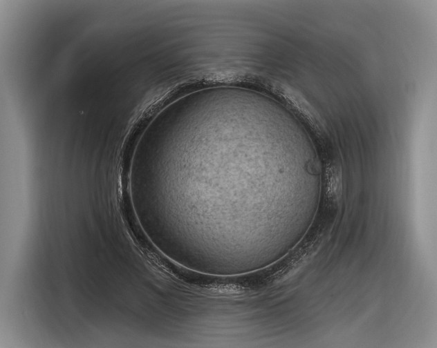 X0000116570685200912171504