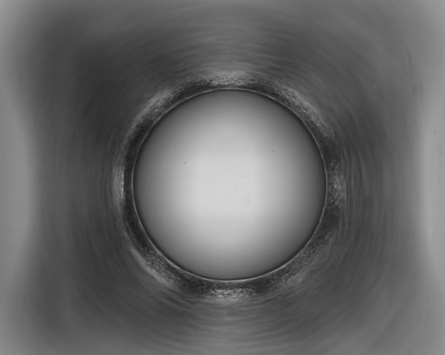 X0000116570686200912171504