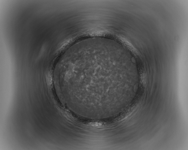 X0000116570687200912171504