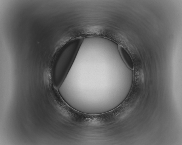 X0000116570688200912171504