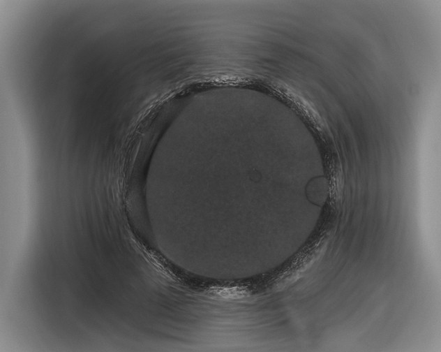 X0000116570689200912171504