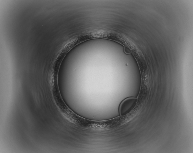 X0000116570690200912171504