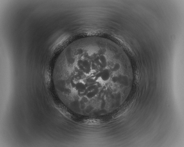 X0000116570691200912171504