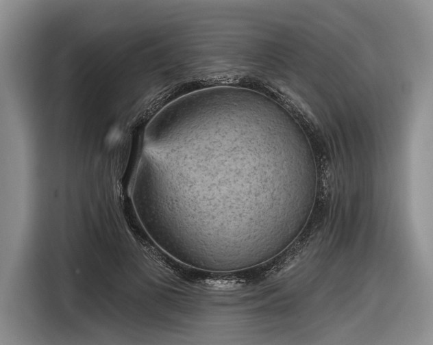 X0000116570693200912171504