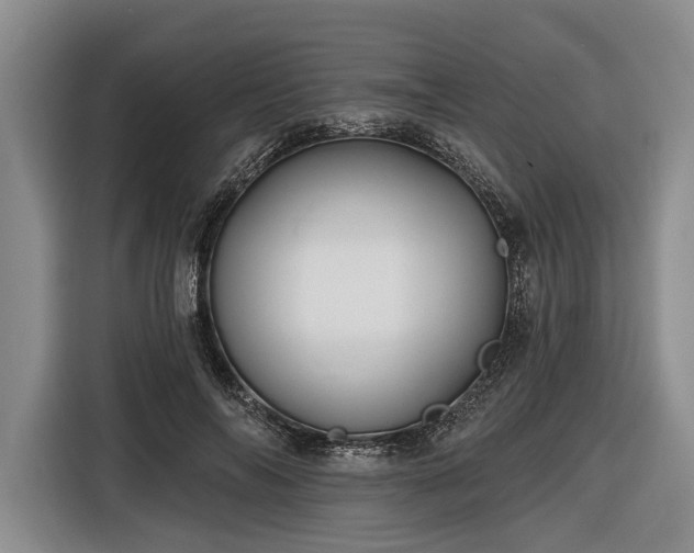 X0000116570694200912171504