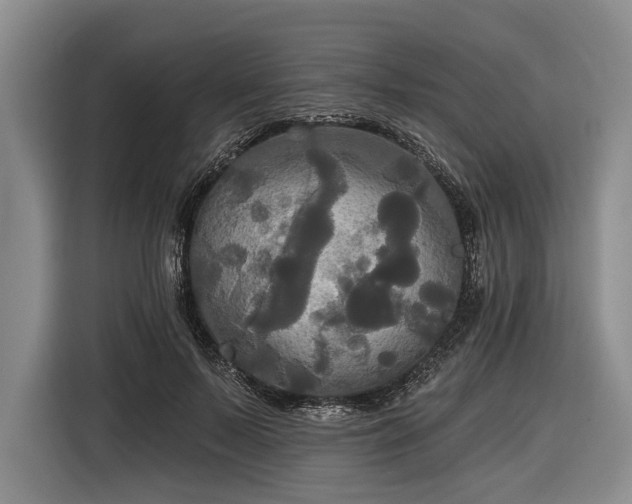 X0000116570695200912171504