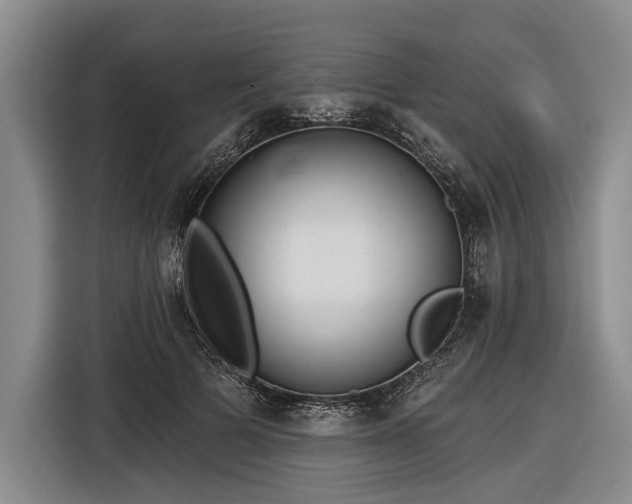 X0000116570697200912171504