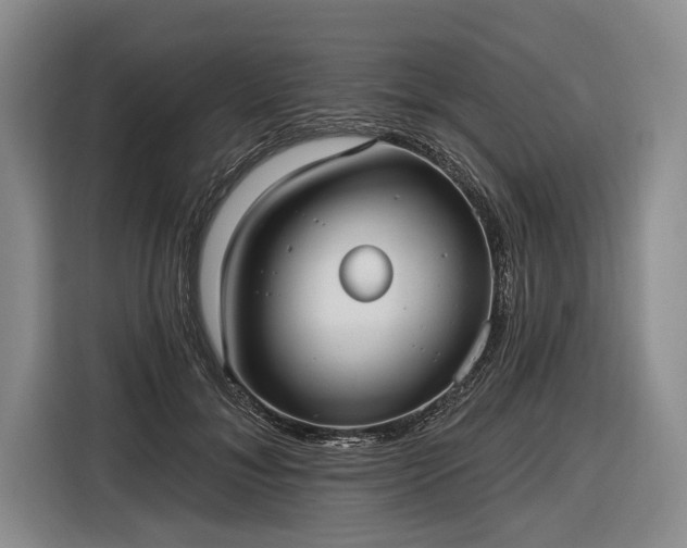 X0000116570700200912171504