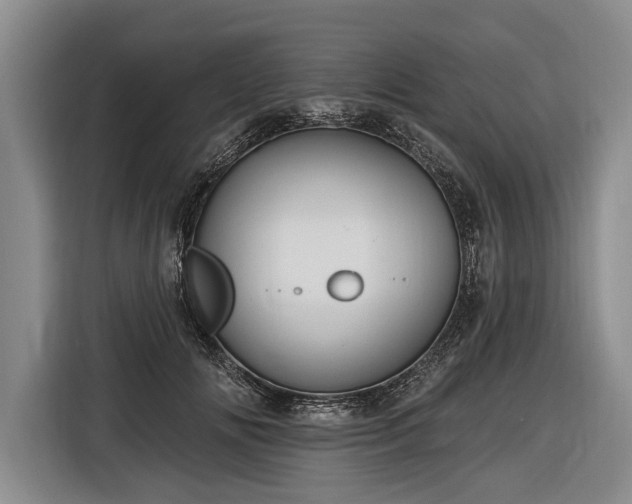 X0000116570702200912171504