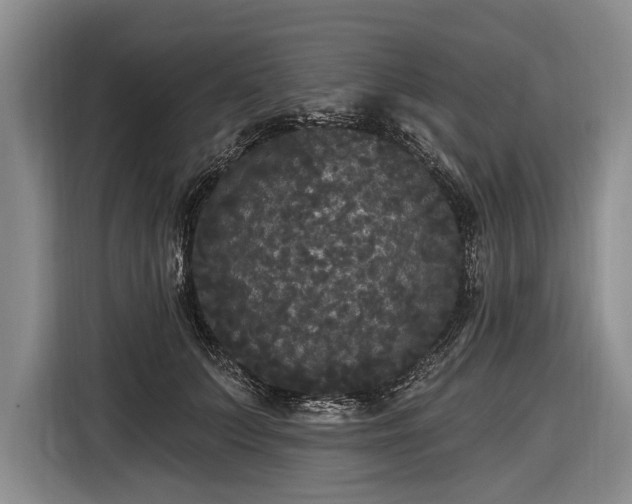 X0000116570703200912171504