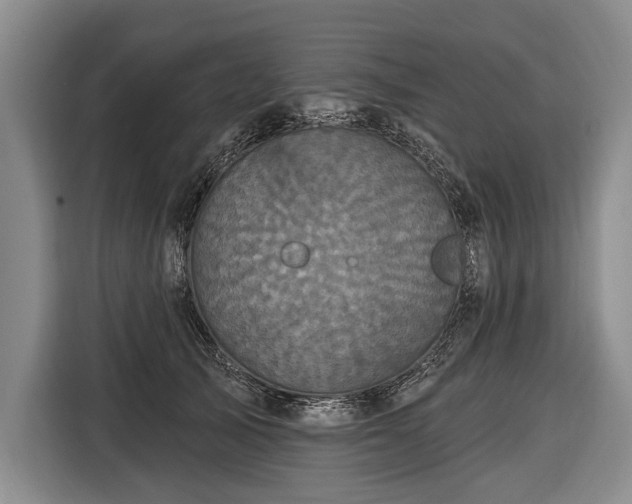 X0000116570705200912171504