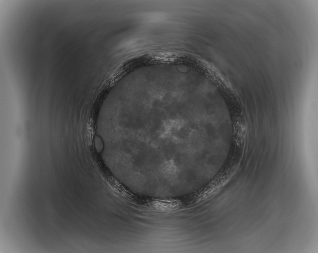 X0000116570707200912171504