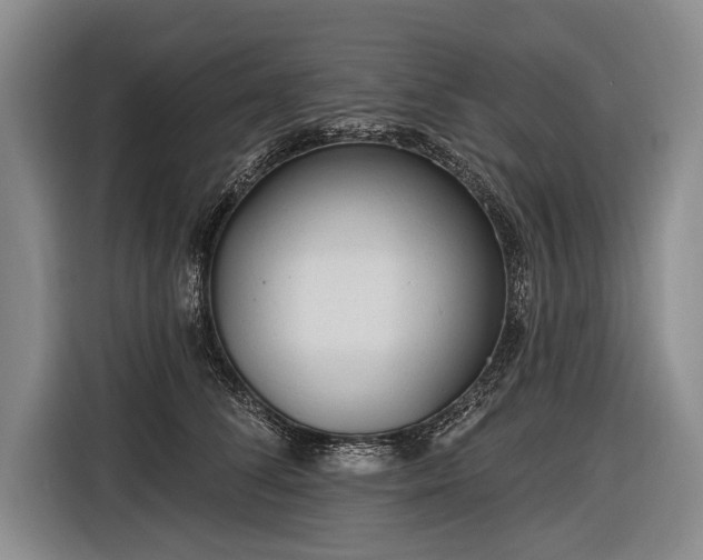 X0000116570708200912171504