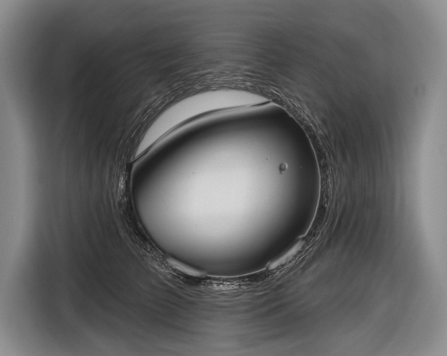 X0000116570709200912171504