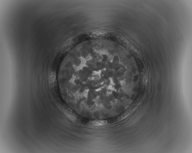 X0000116570711200912171504