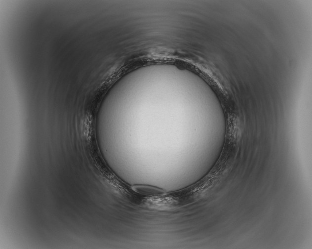 X0000116570712200912171504