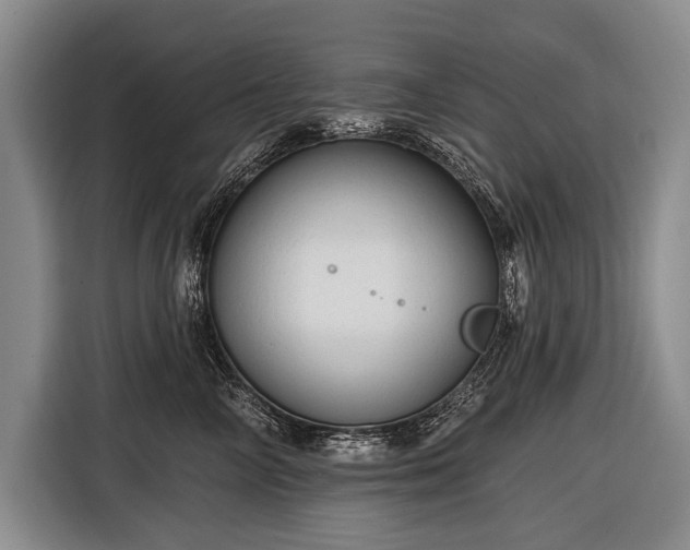 X0000116570714200912171504