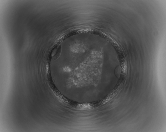 X0000116570715200912171504